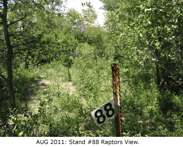 raptorslides